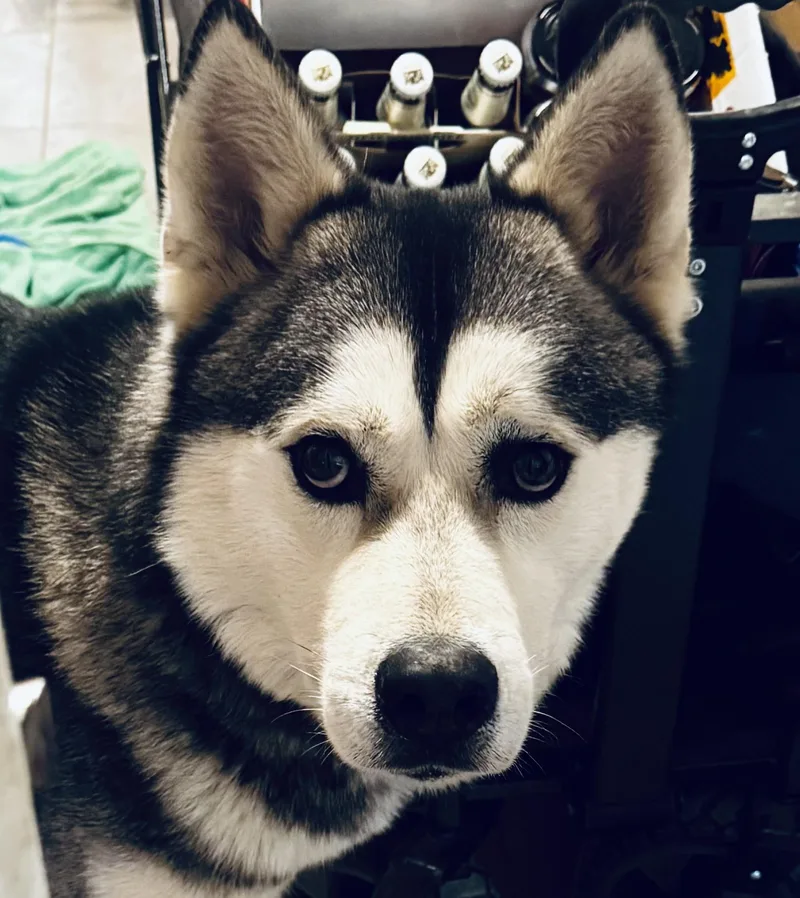 Bruno Marz thumbnail 2