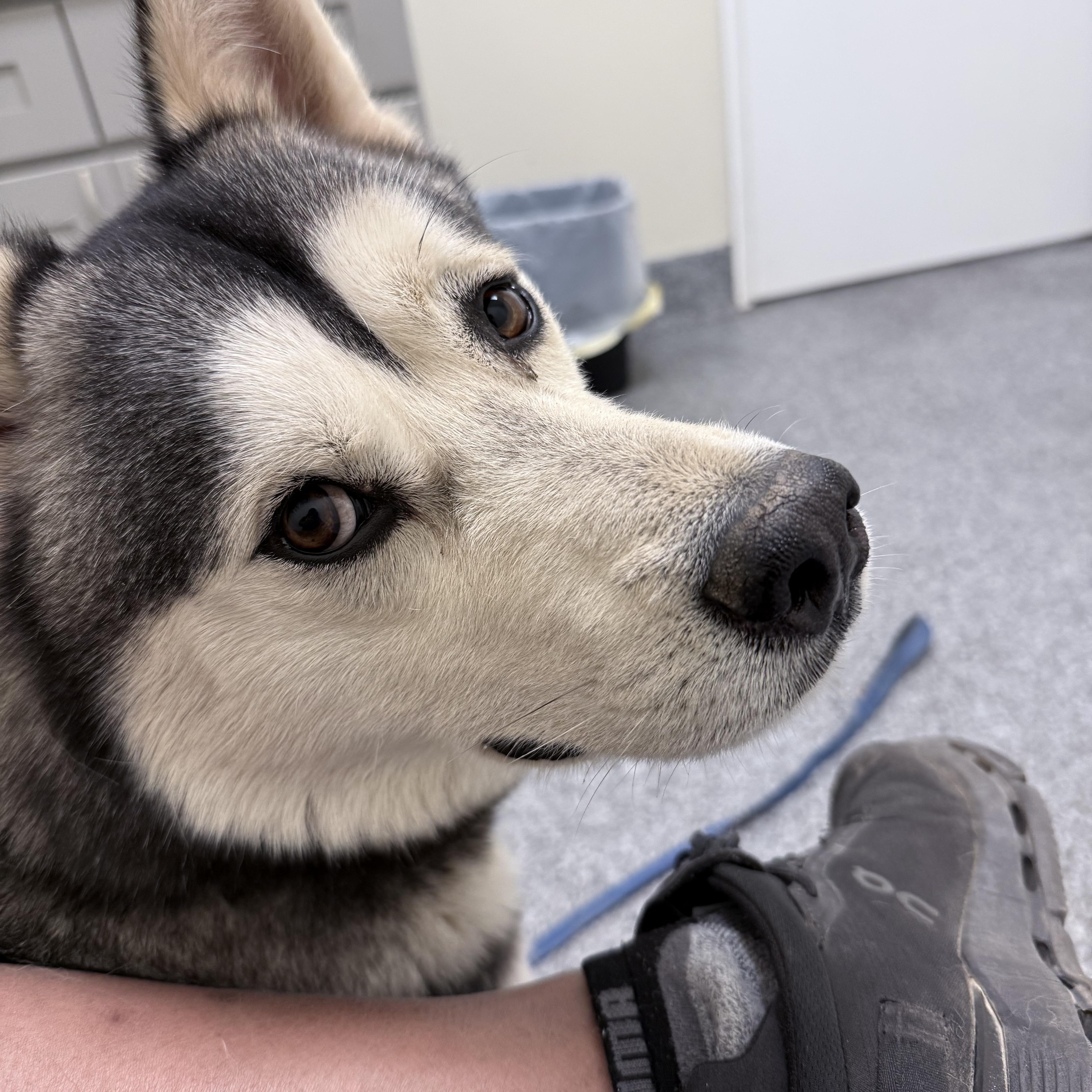 Bruno Marz thumbnail 3