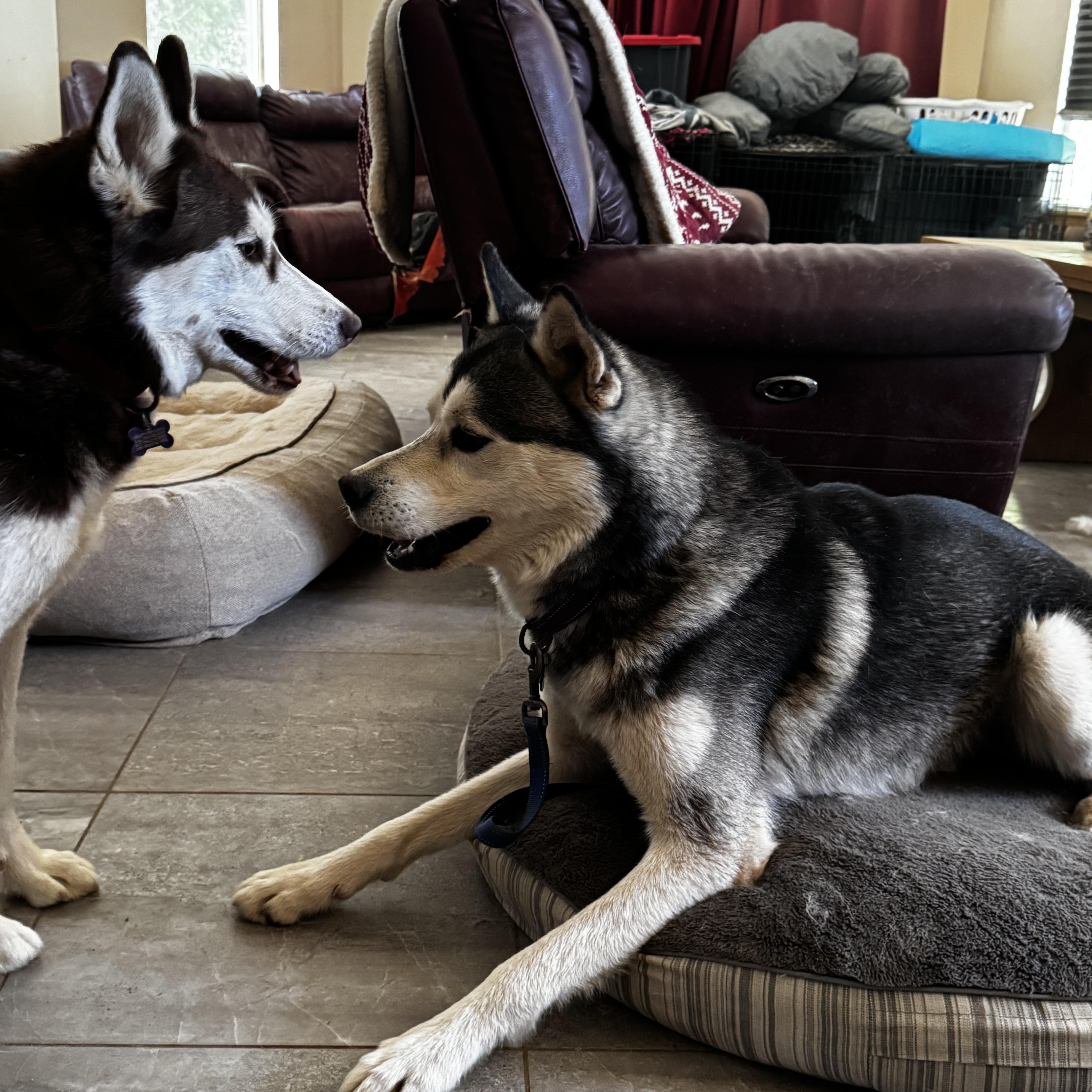 Bruno Marz thumbnail 4