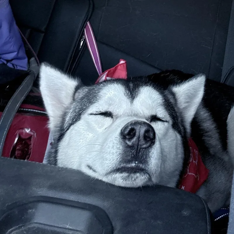 Bruno Marz thumbnail 5