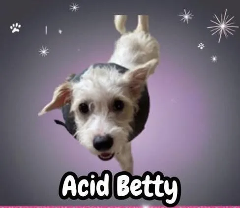 Acid Betty thumbnail 2