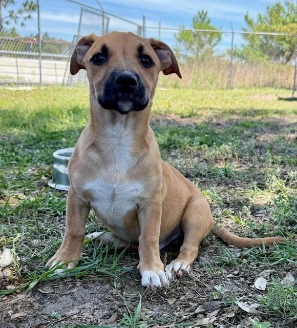 Frank Sinatra thumbnail 2