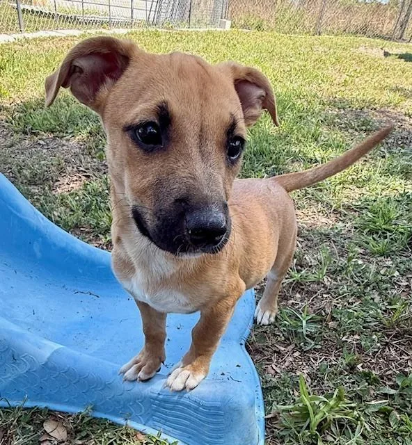 Frank Sinatra thumbnail 3