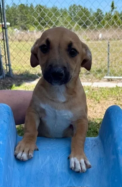 Frank Sinatra thumbnail 4