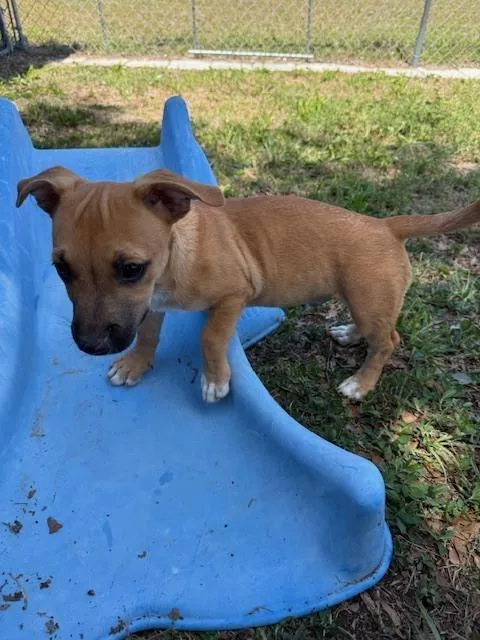 Frank Sinatra thumbnail 5