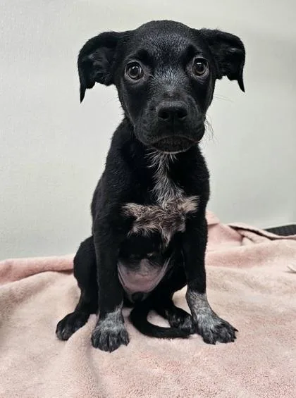 Minh Souphanousinphone thumbnail 2