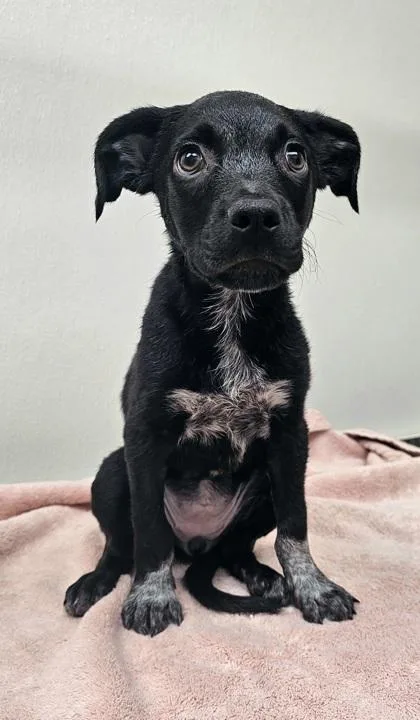 Minh Souphanousinphone thumbnail 3