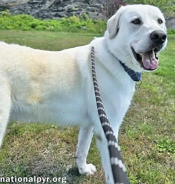 Zeus In Ct  thumbnail 3