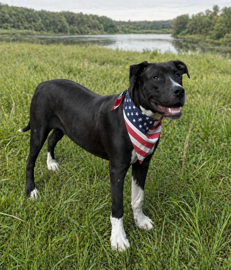 Sampson