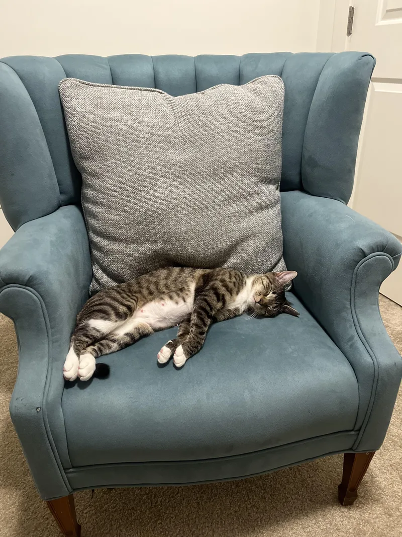 Hillaryperfect Future Roomate thumbnail 2