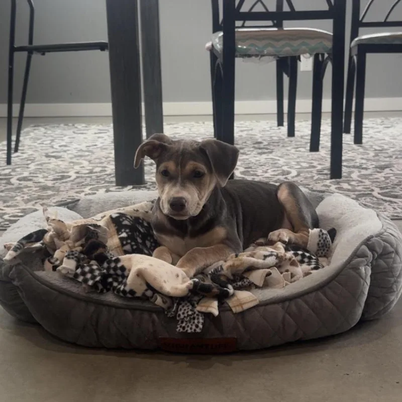 Sloane D thumbnail 3