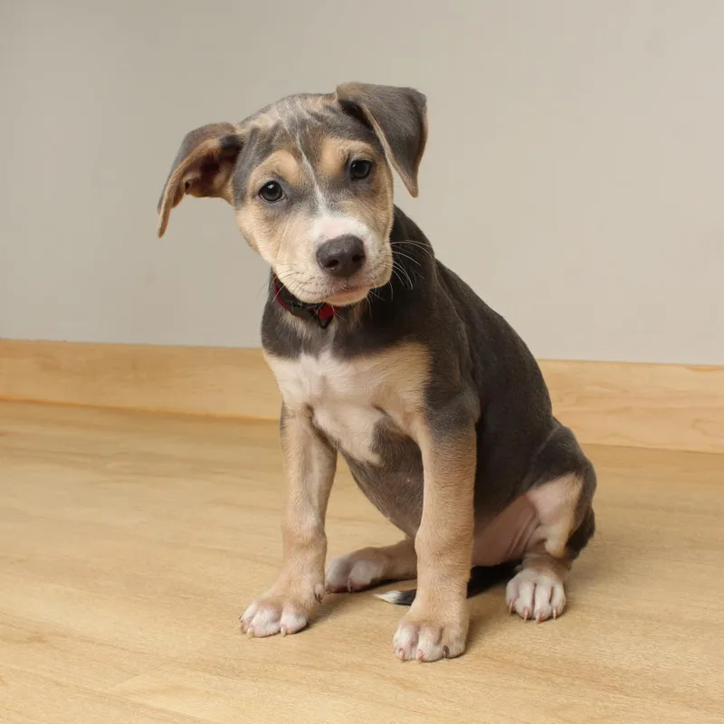 Sloane D thumbnail 4