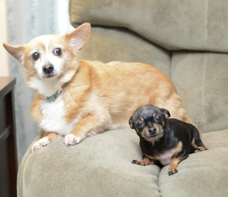 Babz & Budy thumbnail 2
