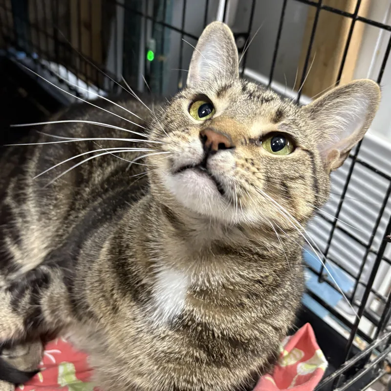 Sailor N.  Sweet thumbnail 2