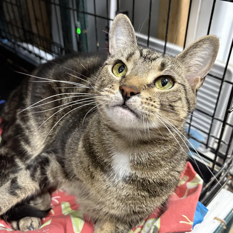 Sailor N.  Sweet thumbnail 3