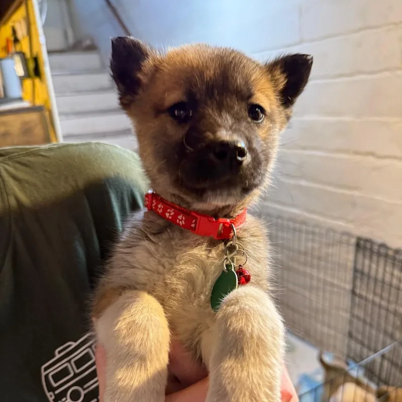 Dr Strange thumbnail 2