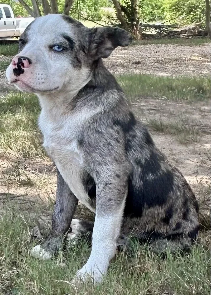 Felipe