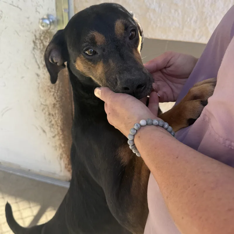 Goob ~ A Fun thumbnail 3