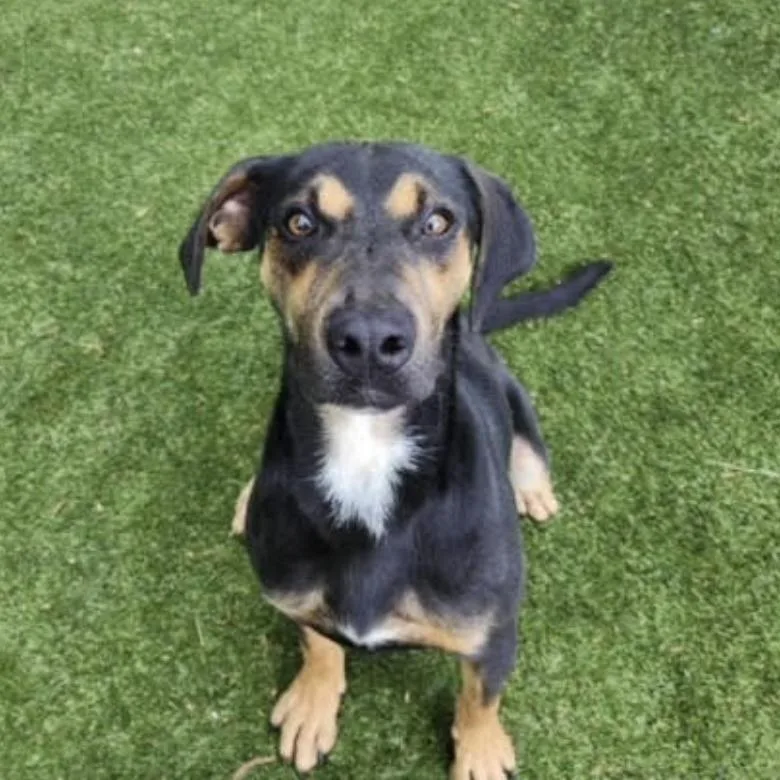 Goob ~ A Fun thumbnail 4