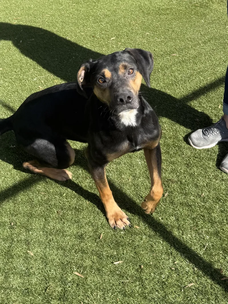 Goob ~ A Fun thumbnail 5