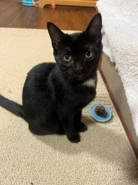 Mercedes thumbnail 2