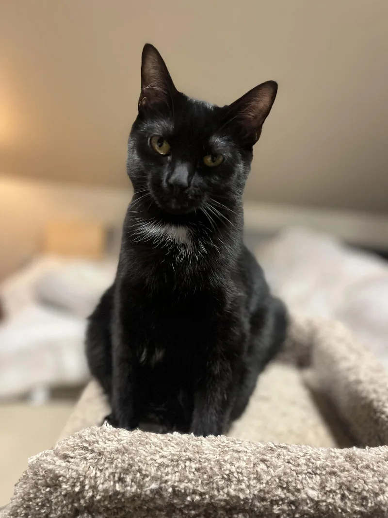 Mercedes thumbnail 3