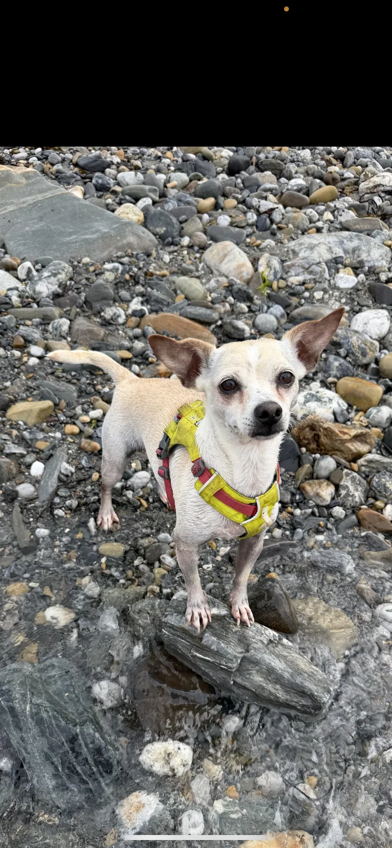 Sally thumbnail 2