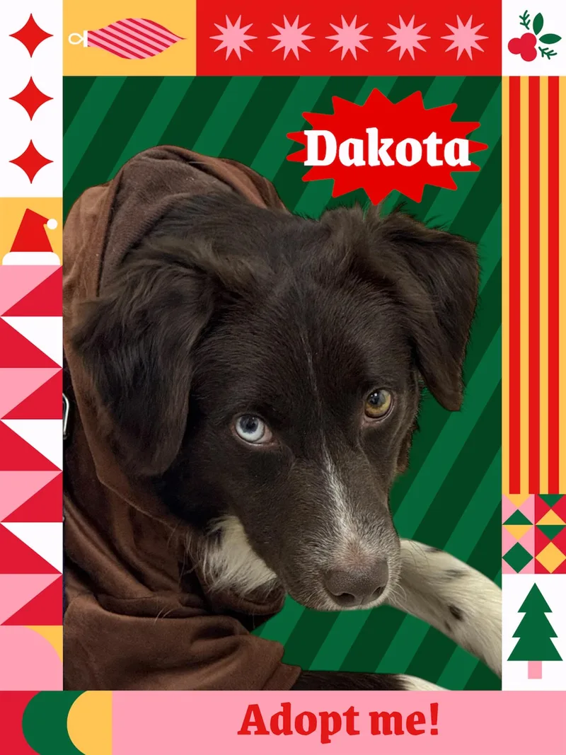 Dakota thumbnail 5