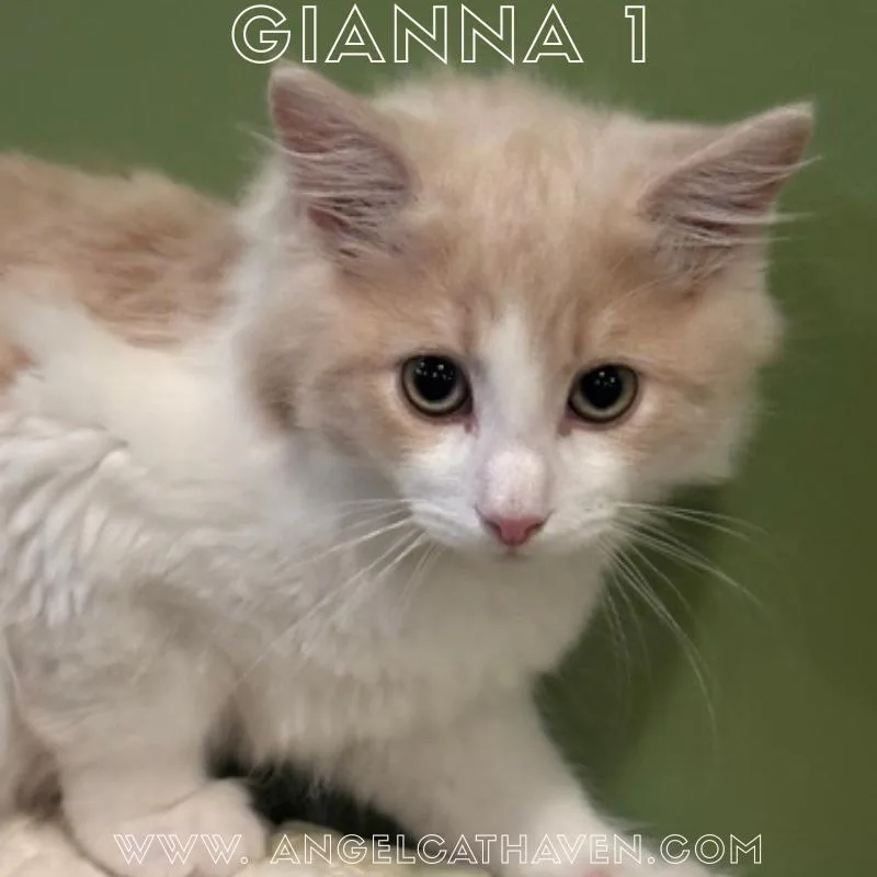 Gianna thumbnail 2