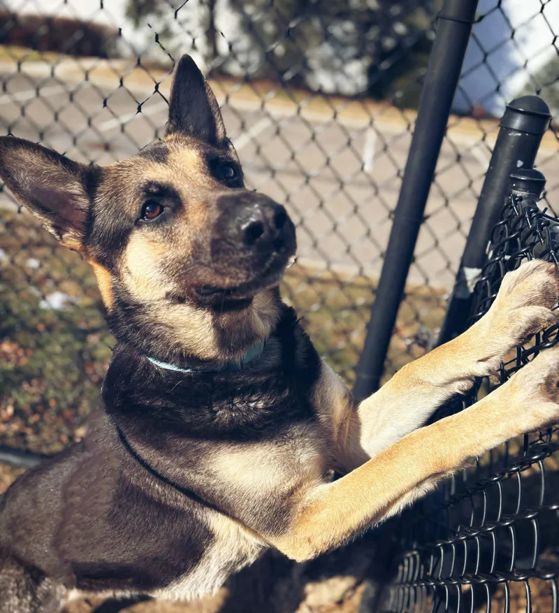 Kal