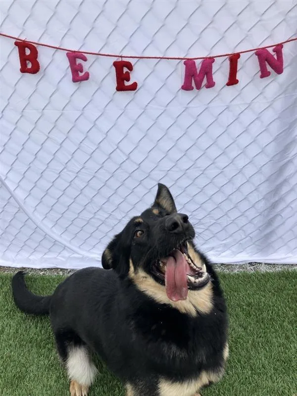 Benny