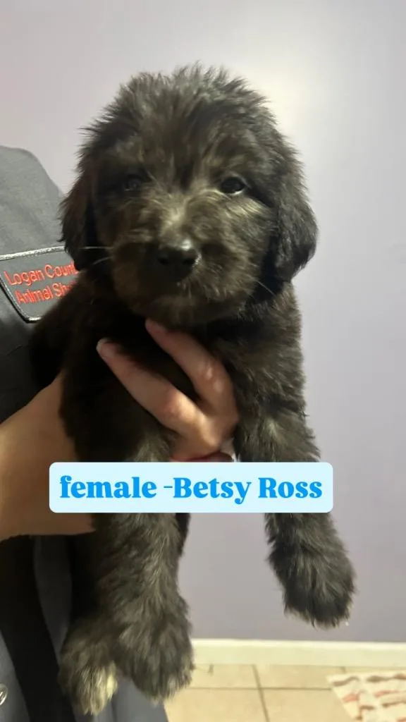 Betsy Ross