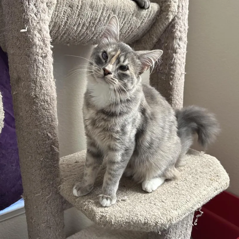 Emma & Gustave thumbnail 2