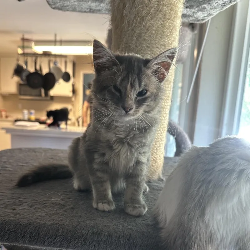 Emma & Gustave thumbnail 6