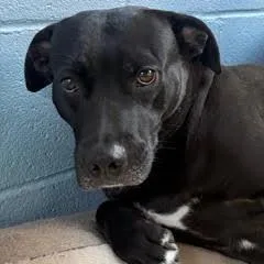 Midnight thumbnail 2