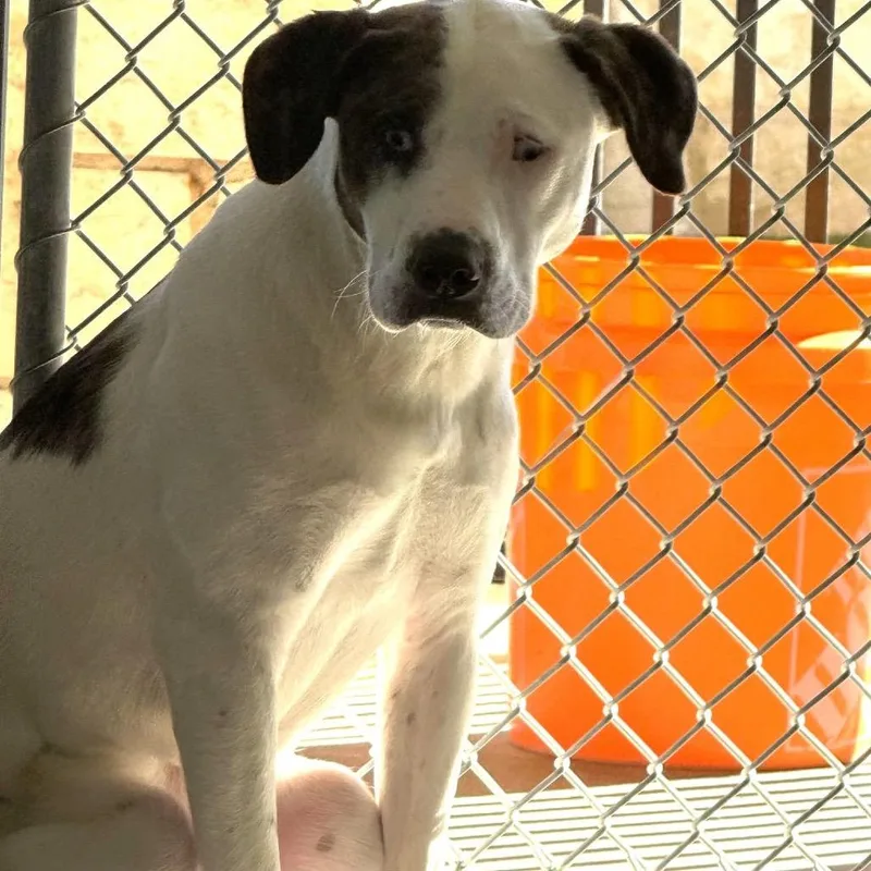 Fwt Laly thumbnail 2