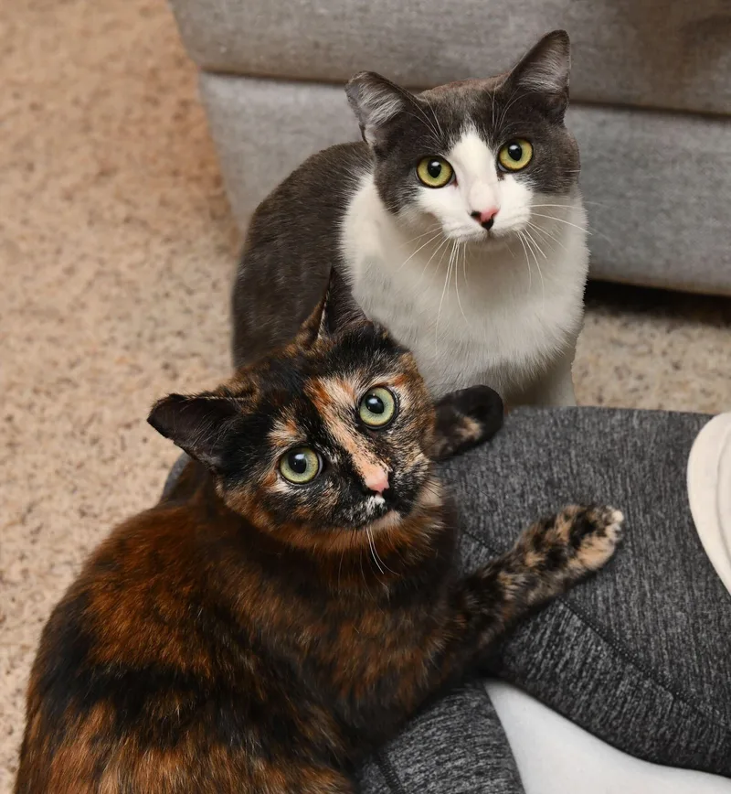 Tina And Louise thumbnail 3