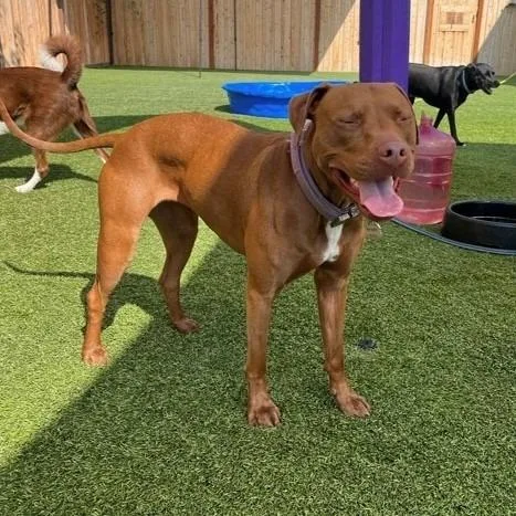 Destinypenny thumbnail 2