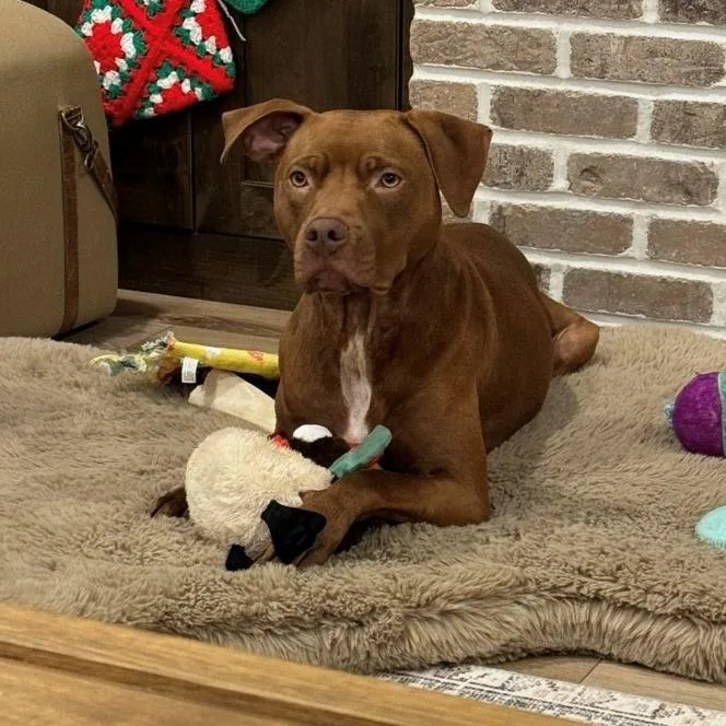 Destinypenny thumbnail 3