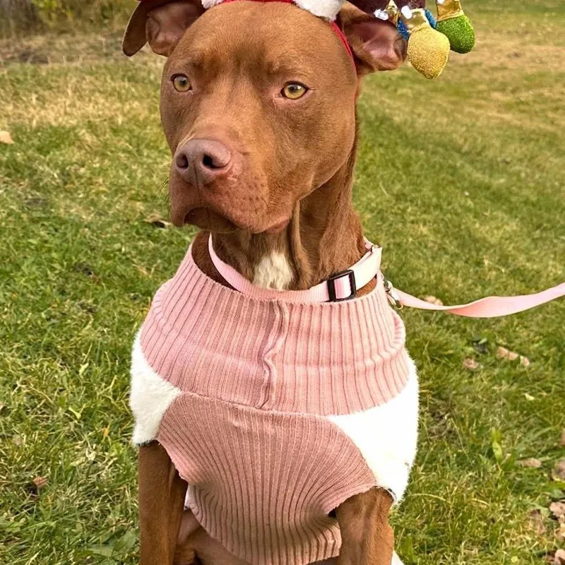 Destinypenny thumbnail 6