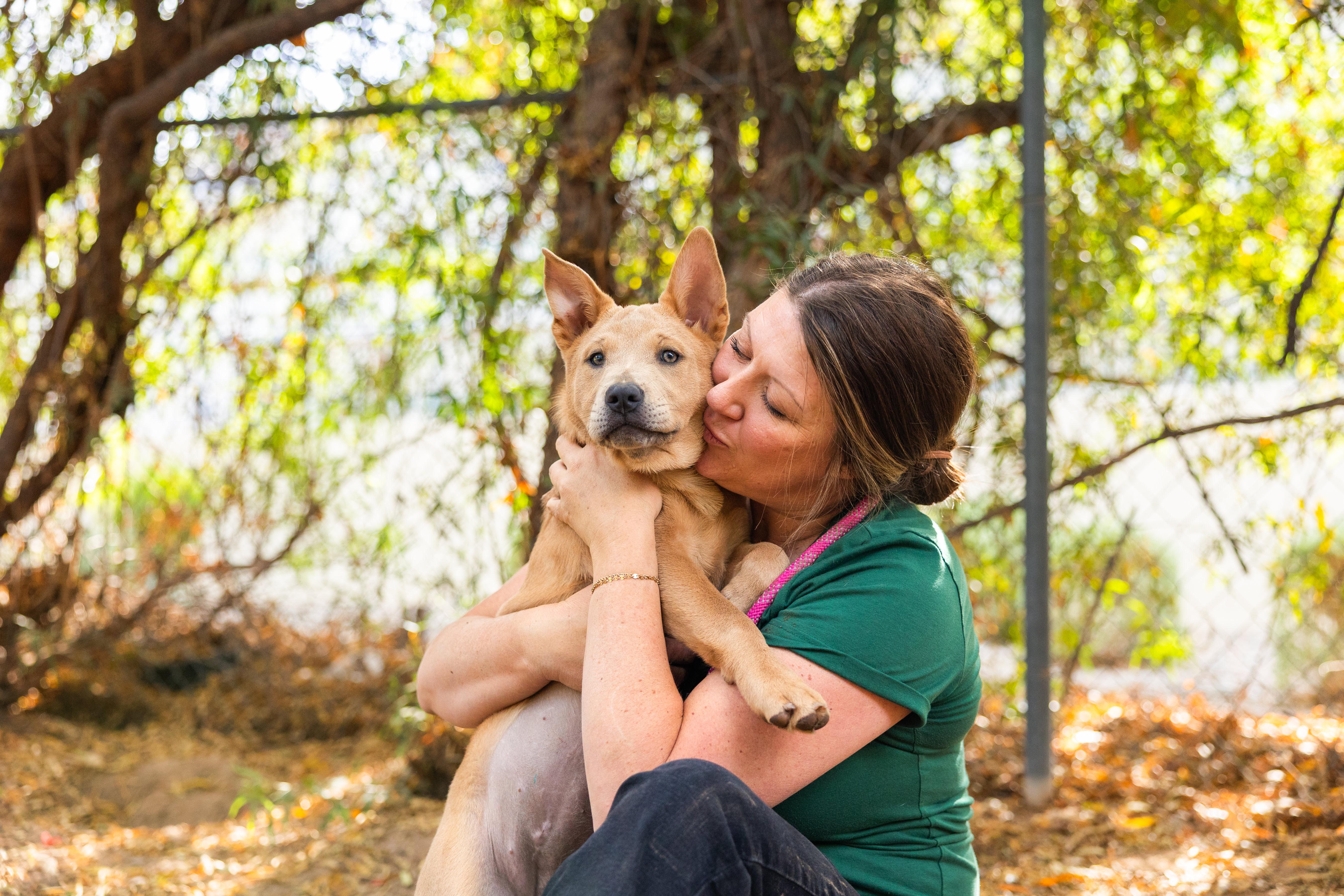 Savannah thumbnail 3