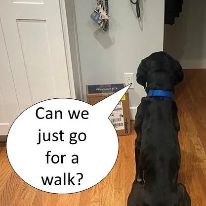 Bullwinkle thumbnail 3