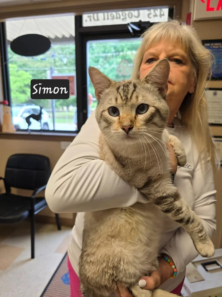 Simon