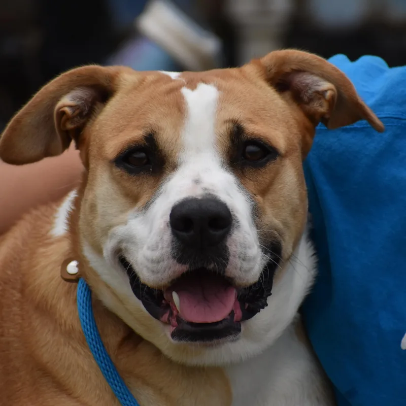 Jonquel Jones thumbnail 2