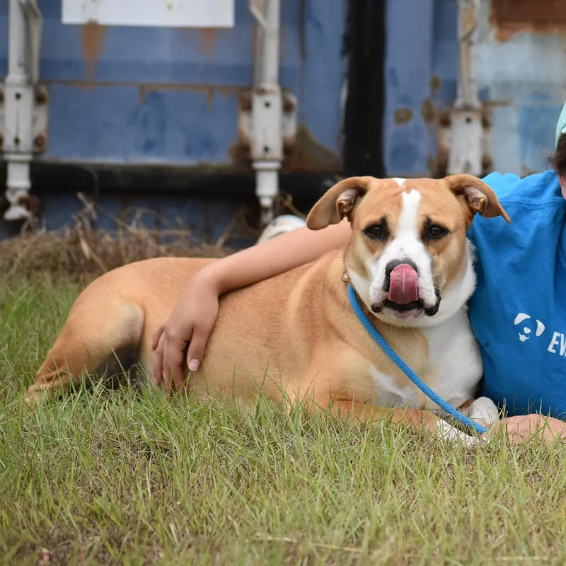 Jonquel Jones thumbnail 3