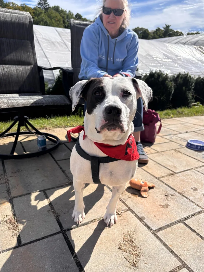 Josie momma S'more