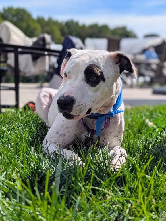 Josie momma S'more  thumbnail 4