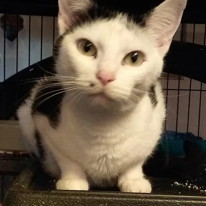 Cindy Clawford thumbnail 2