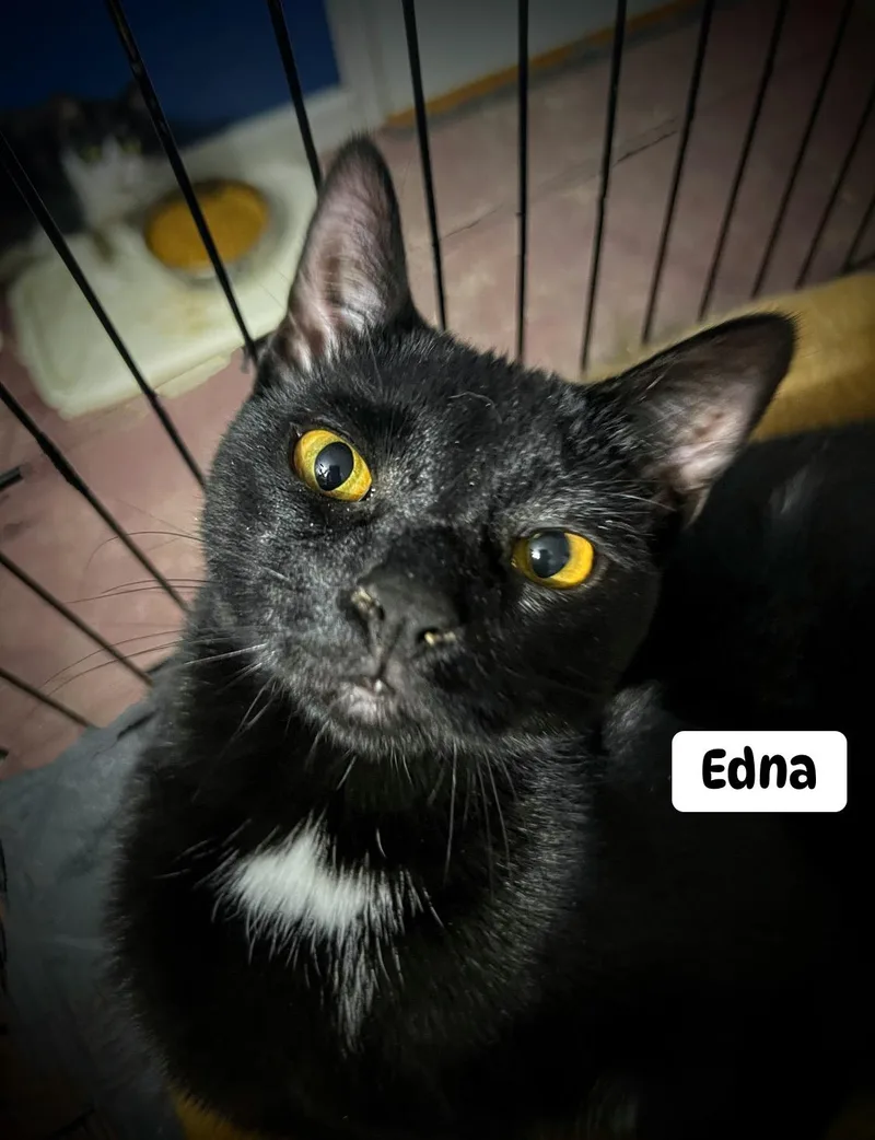 Edna
