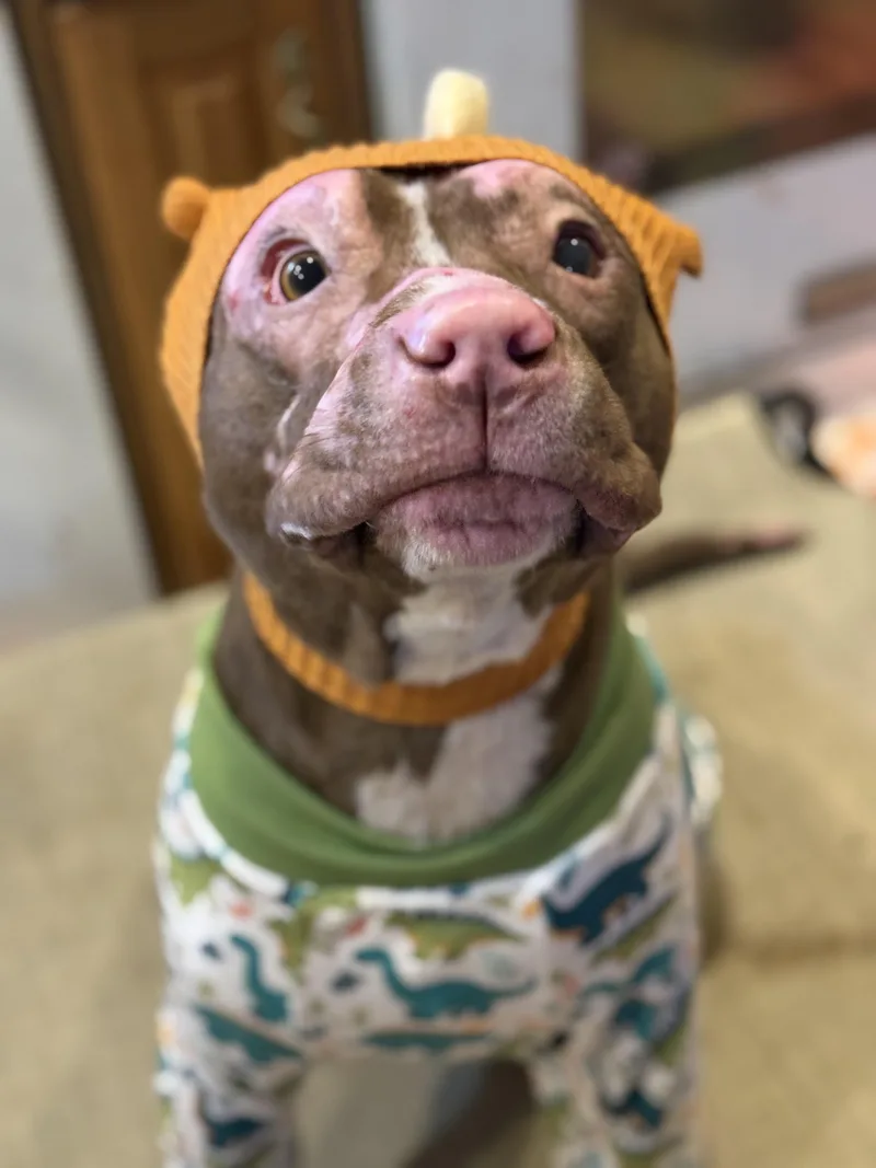 Constantine thumbnail 4